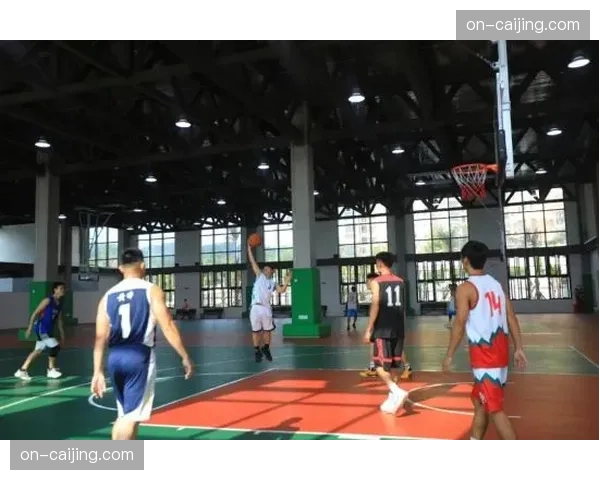 多地体育馆增设柔道专用区域，满足群众健身需求